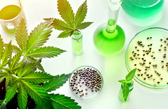 cannabis hemp cbd testing