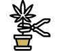 cannabis hemp cbd testing